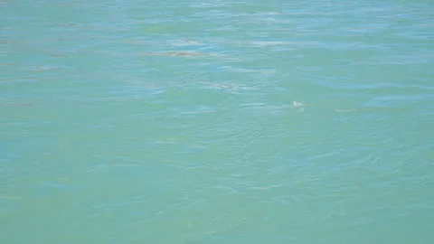 Cinematic Water Movement Background 库存影片 343440364