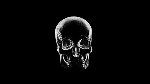 Cinematic White Plaster Skull Rotating Loop with dramatic Rim Light Stock Footage 340179219