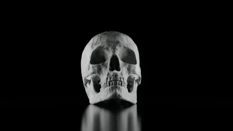 Cinematic White Skull on Reflective Floor Loop Stock Footage 340179088