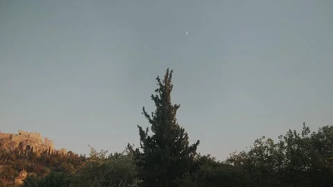 Cinematic Wide Shot of Moon Aligning Above Tree and Acropolis Ruins in Athens Stock Footage 342062261