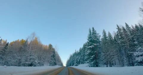 Cinematic Winter Drive. Frontal Perspective on Forest Road. Immerse yourself Stock Footage 260366665