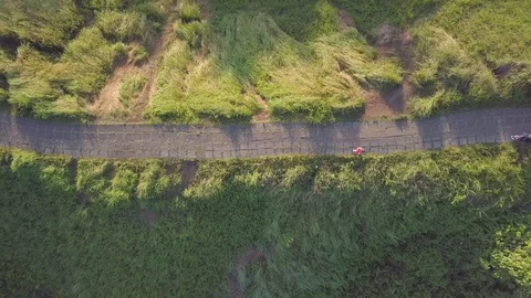 Cinematic zoom out of the path on the top of green hill in between the jungle Stock Footage 100275946