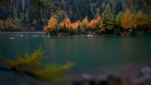 Cinemgraph Loop - Trees across the Lake - motion photo Stock Footage 98713973
