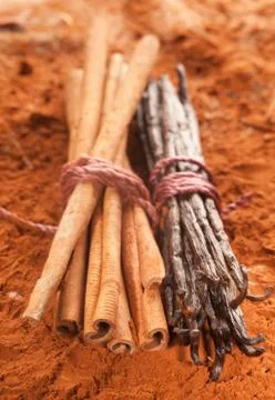 Cinnamon and vanilla Stock Photos