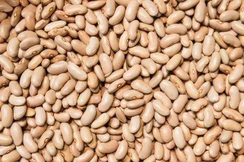 Cinnamon beans Stock Photos