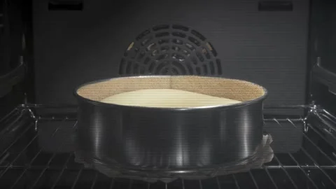 Cinnamon buns baking and rising in the oven. Zoomed-in timelapse view. Homemade Stock-Footage 336576652