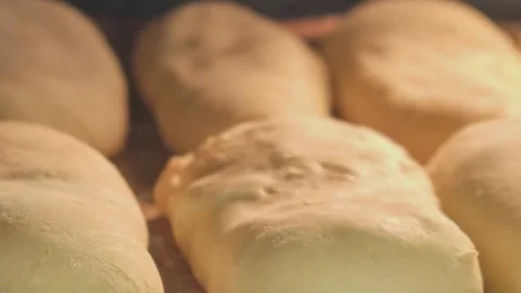 Cinnamon buns baking and rising in the oven. Zoomed-in timelapse view. Homemade Stock Footage 336576744