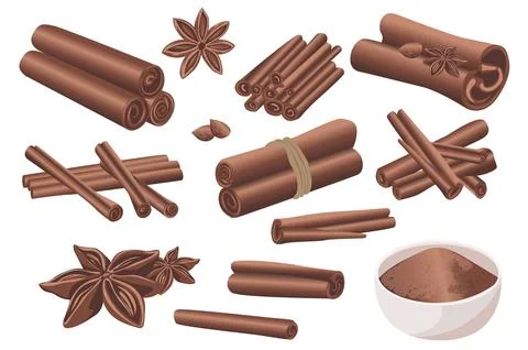 Cinnamon Cooking Spice 库存插图