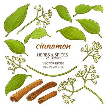 Cinnamon elements set Stock Illustration