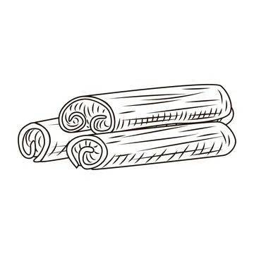 Cinnamon in engraved style isolated on white background. Vintage sketch outli Stock Illustration