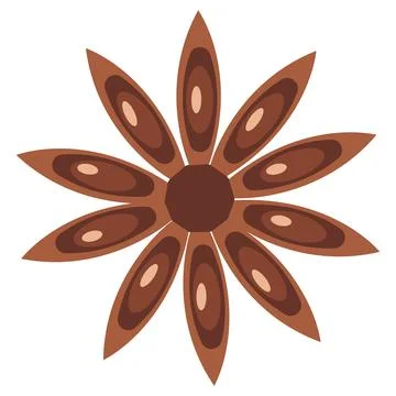 Cinnamon flower. Aromatic spice. Vector illustration isolated on white backgr Stock Illustration