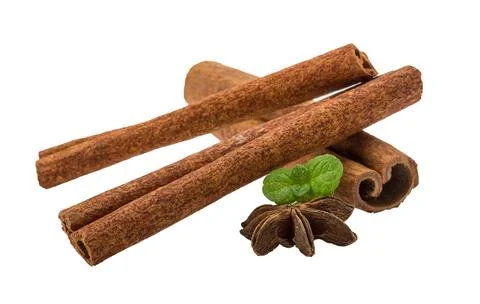 Cinnamon with mint leaf and star-anise Stock Photos