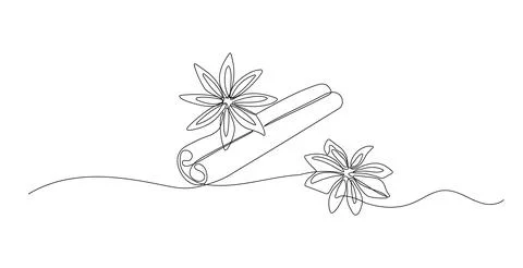 Cinnamon one continuous line illustration. Hand drawn sketch of anise star on Stock Illustration