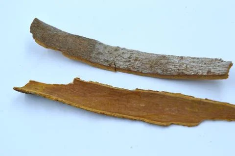 Cinnamon Stock Photos