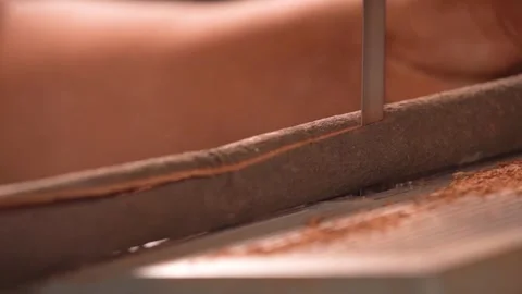 Cinnamon Processing in Luoding, Guangdong, China Stock Footage 330481593