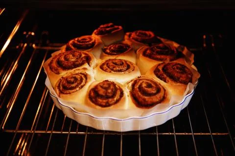 Cinnamon rolls in the form for roasting in the oven in the process of baking Stock Photos
