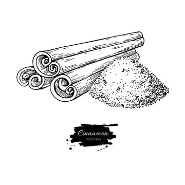 Cinnamon stick and powder vector drawing. Hand drawn sketch. Seasonal food Stock Illustration