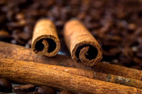 Cinnamon stick on the background of coffee Stock Photos