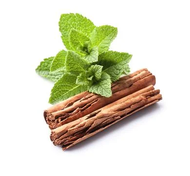 Cinnamon stick with mint Foto stock