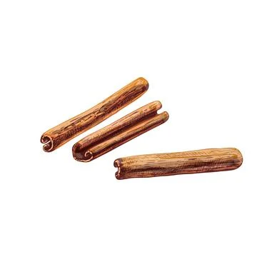 Cinnamon stick set. Vintage vector hatching color hand drawn illustration Stock-Illustration