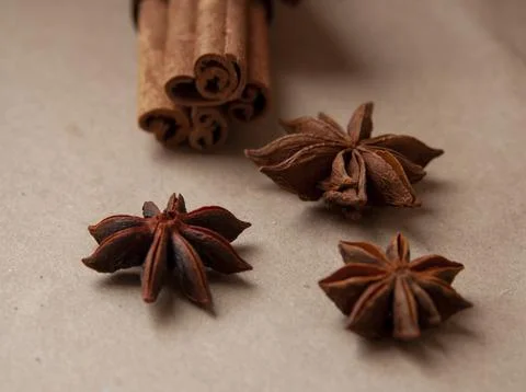 Cinnamon stick with star anis on the craft background Stock Photos