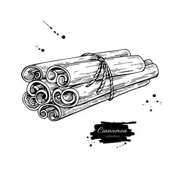 Cinnamon stick tied bunch Vector drawing. Hand drawn sketch. Sea Stock Illustration
