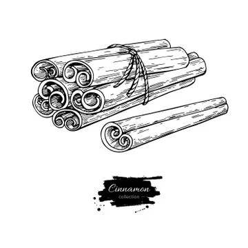 Cinnamon stick tied bunch Vector drawing. Hand drawn sketch. Seasonal food Stock Illustration