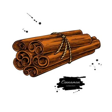 Cinnamon stick tied bunch Vector drawing. Hand drawn sketch. Stock Illustration