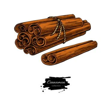 Cinnamon stick tied bunch Vector drawing. Stock Illustration