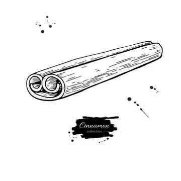 Cinnamon stick vector drawing. Hand drawn sketch. Seasonal food Illustrazione stock