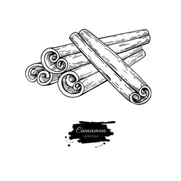Cinnamon stick vector drawing. Hand drawn sketch. Seasonal food Stock Illustration