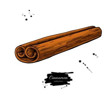 Cinnamon stick vector drawing. Hand drawn sketch. Seasonal food Stock Illustration