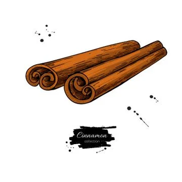 Cinnamon stick vector drawing. Hand drawn sketch. Stock Illustration