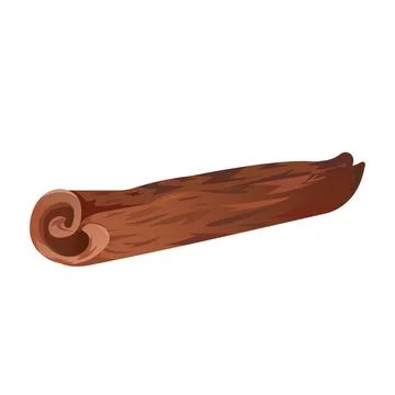 Cinnamon stick vector drawing Stock Illustration