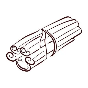 Cinnamon sticks bundle tied with string in line art style. Ideal for spice Stock Illustration