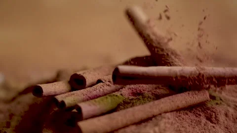 Cinnamon sticks falling into ground cinnamon Stock Footage 291877221