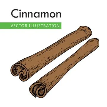 Cinnamon sticks  Stock Illustration