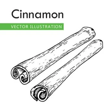 Cinnamon sticks Stock Illustration
