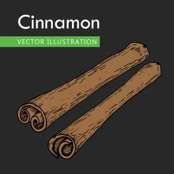 Cinnamon sticks  Stock Illustration