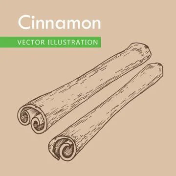 Cinnamon sticks Stock Illustration