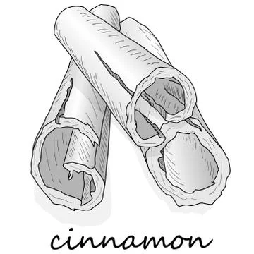 Cinnamon sticks isolated on white background. Vector illustration Stock Illustration