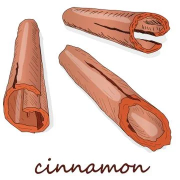 Cinnamon sticks isolated on white background. Vector illustration Stock Illustration