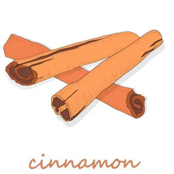 Cinnamon sticks isolated on white background. Vector illustration Stock Illustration
