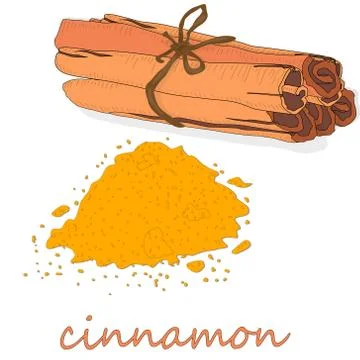 Cinnamon sticks isolated on white background. Vector illustration Stock Illustration