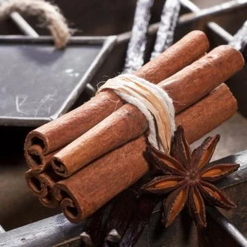 Cinnamon sticks Stock Photos