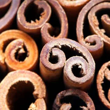 Cinnamon sticks Foto stock