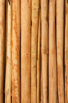 Cinnamon sticks Stock Photos