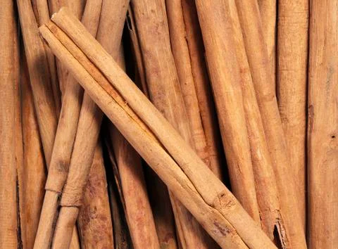 Cinnamon sticks Stock Photos
