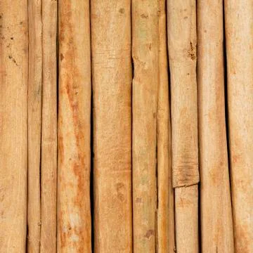 Cinnamon sticks Foto stock