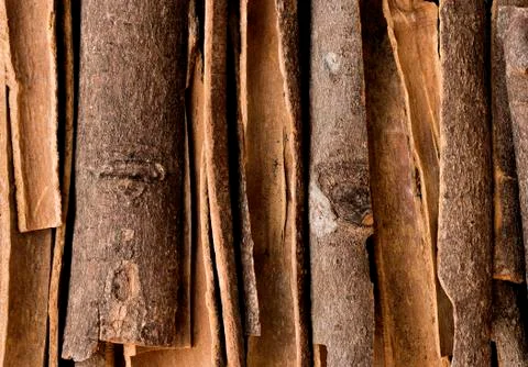 Cinnamon sticks Foto stock
